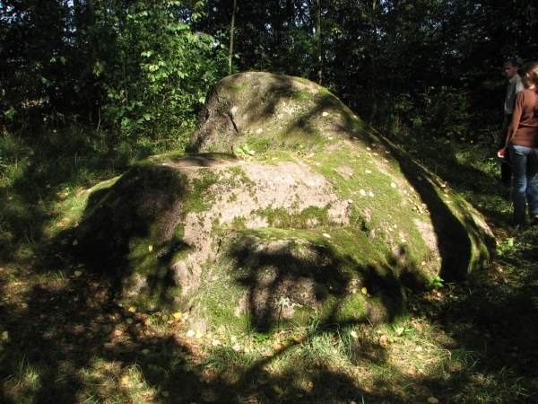 Laukagalio akmuo